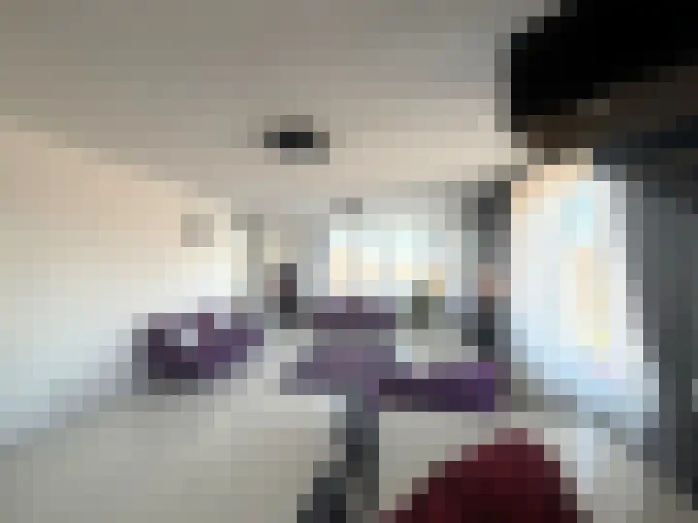 Laan van Wateringse Veld 364 Den Haag thumbnail 7