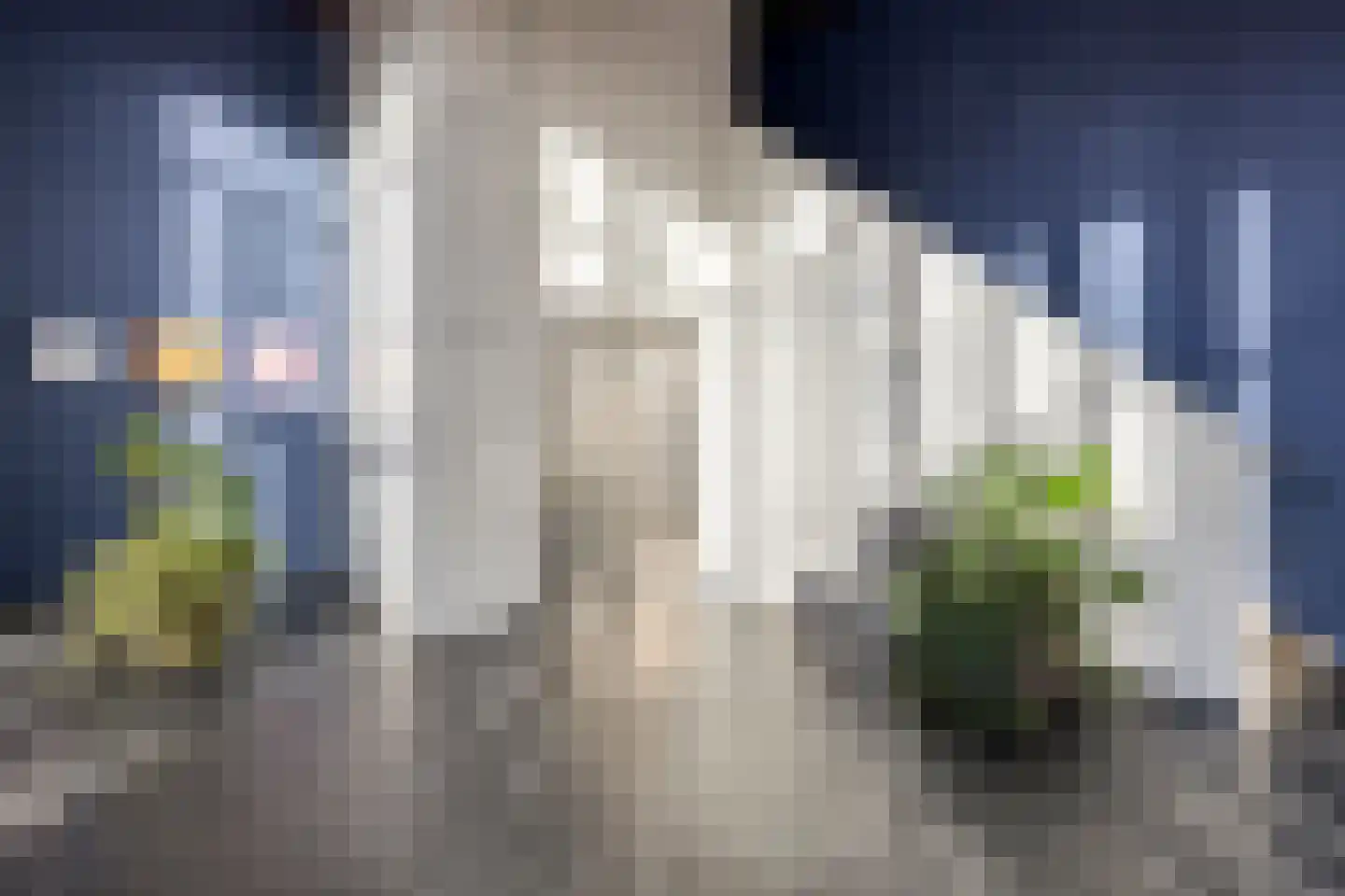 Laan van Wateringse Veld 372 Den Haag thumbnail 29