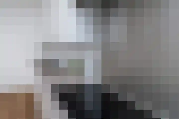 Laan van Wateringse Veld 384 Den Haag thumbnail 14