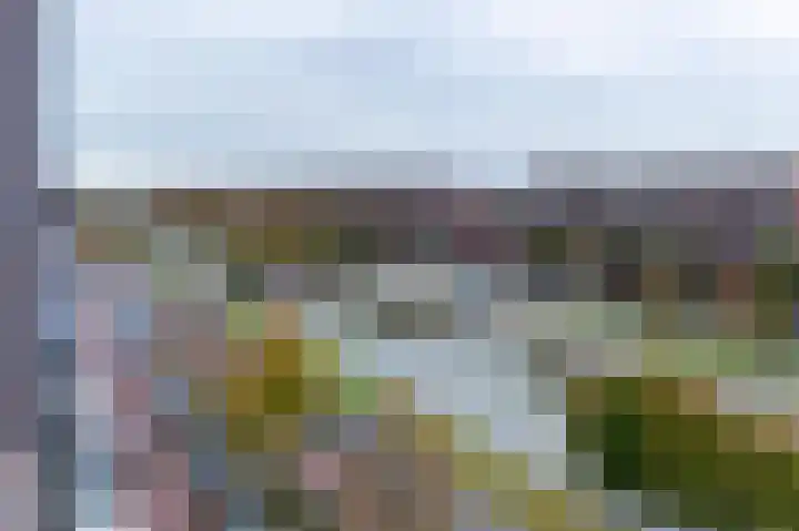 Laan van Wateringse Veld 384 Den Haag thumbnail 16