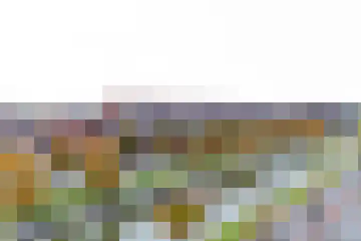 Laan van Wateringse Veld 384 Den Haag thumbnail 17