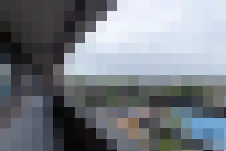 Laan van Wateringse Veld 384 Den Haag thumbnail 32