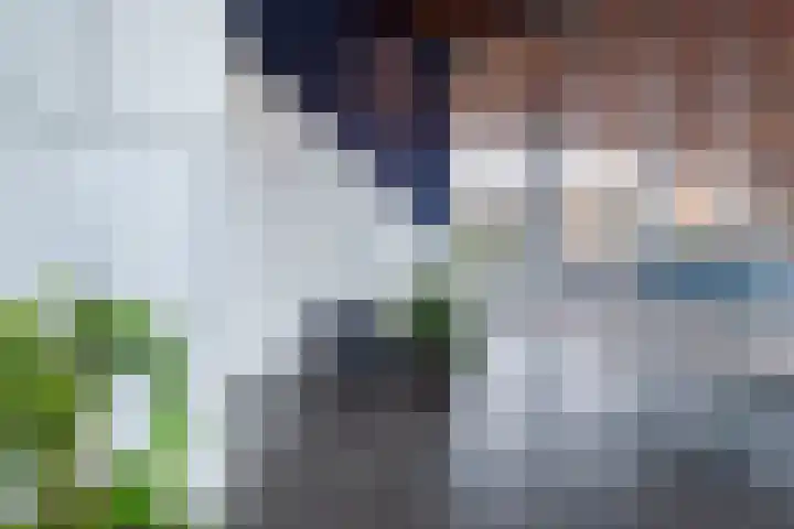 Laan van Wateringse Veld 384 Den Haag thumbnail 34