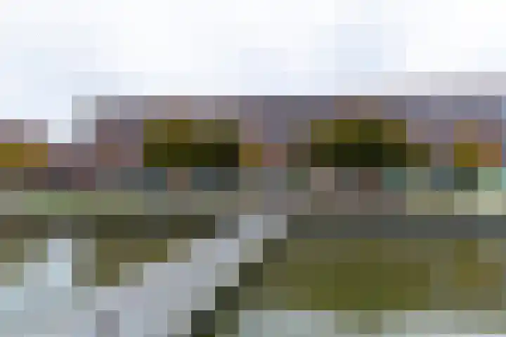 Laan van Wateringse Veld 384 Den Haag thumbnail 36