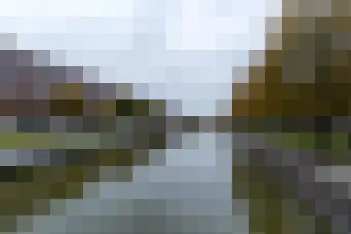 Laan van Wateringse Veld 384 Den Haag thumbnail 37
