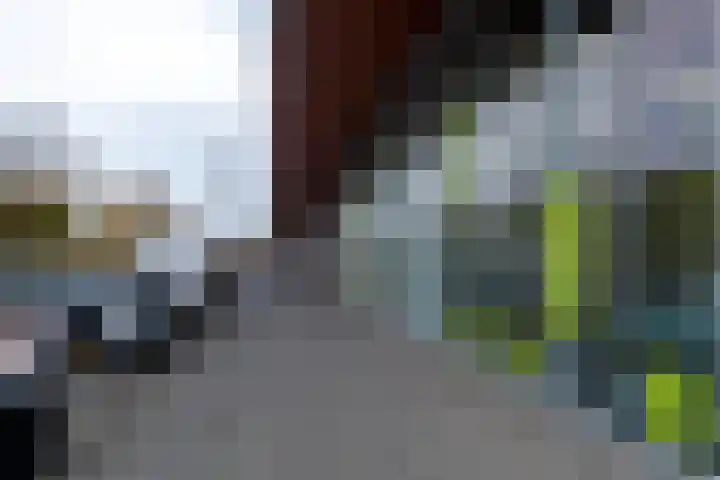Laan van Wateringse Veld 384 Den Haag thumbnail 39