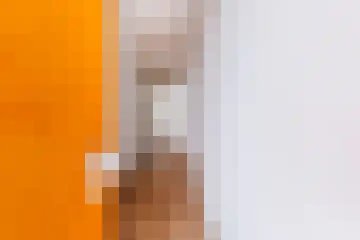 Laan van Wateringse Veld 384 Den Haag thumbnail 7