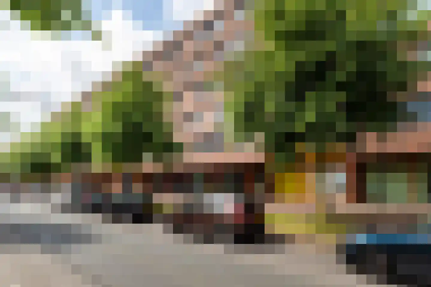 Laan van Wateringse Veld 633 Den Haag thumbnail 41