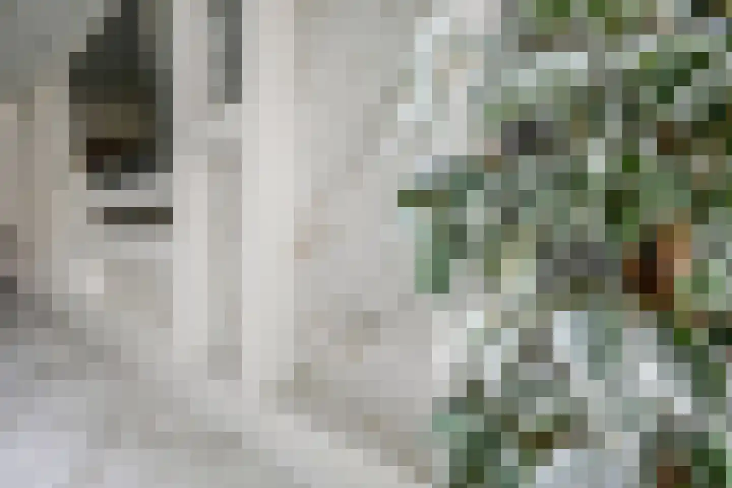Laan van Wateringse Veld 76 Den Haag thumbnail 13