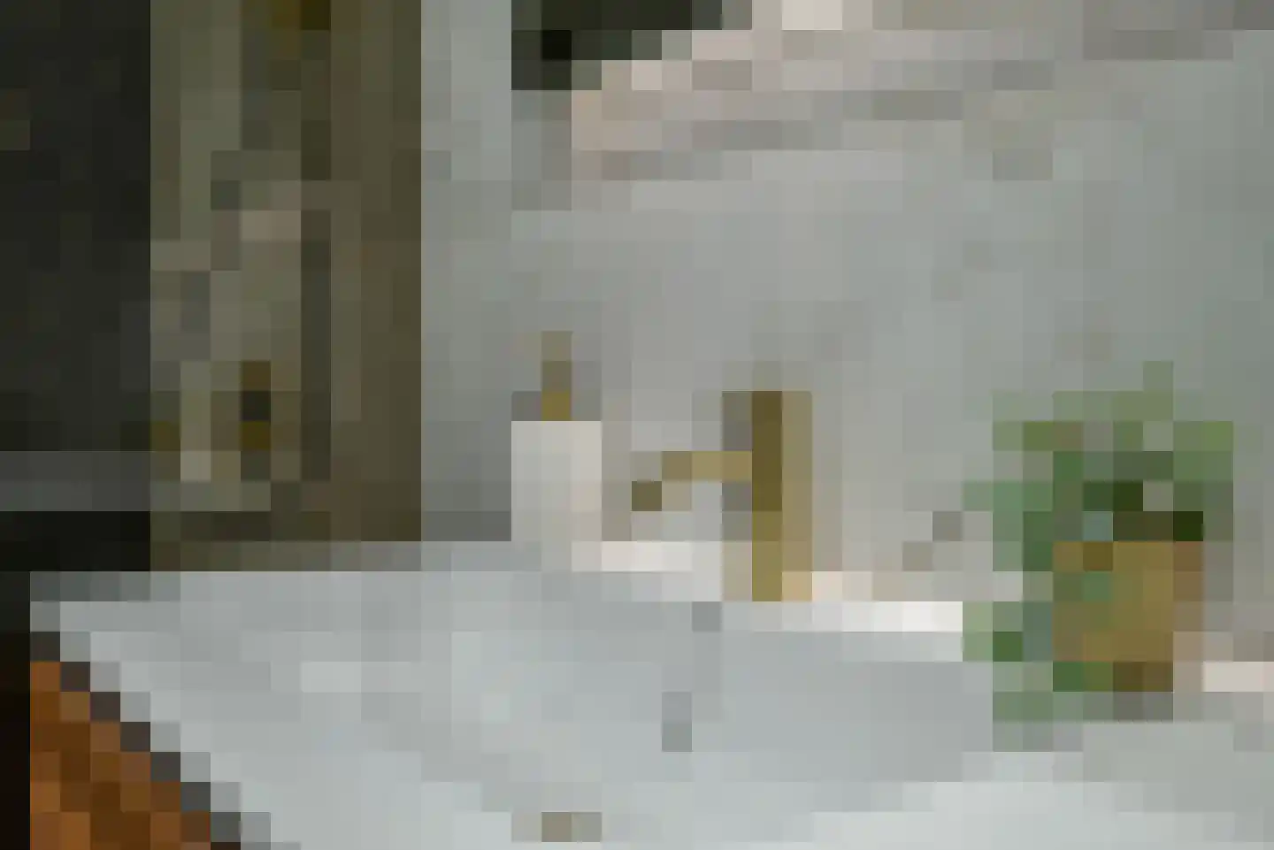 Laan van Wateringse Veld 76 Den Haag thumbnail 24