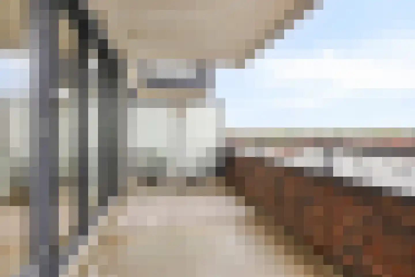 Laan van Wateringse Veld 779 Den Haag thumbnail 4