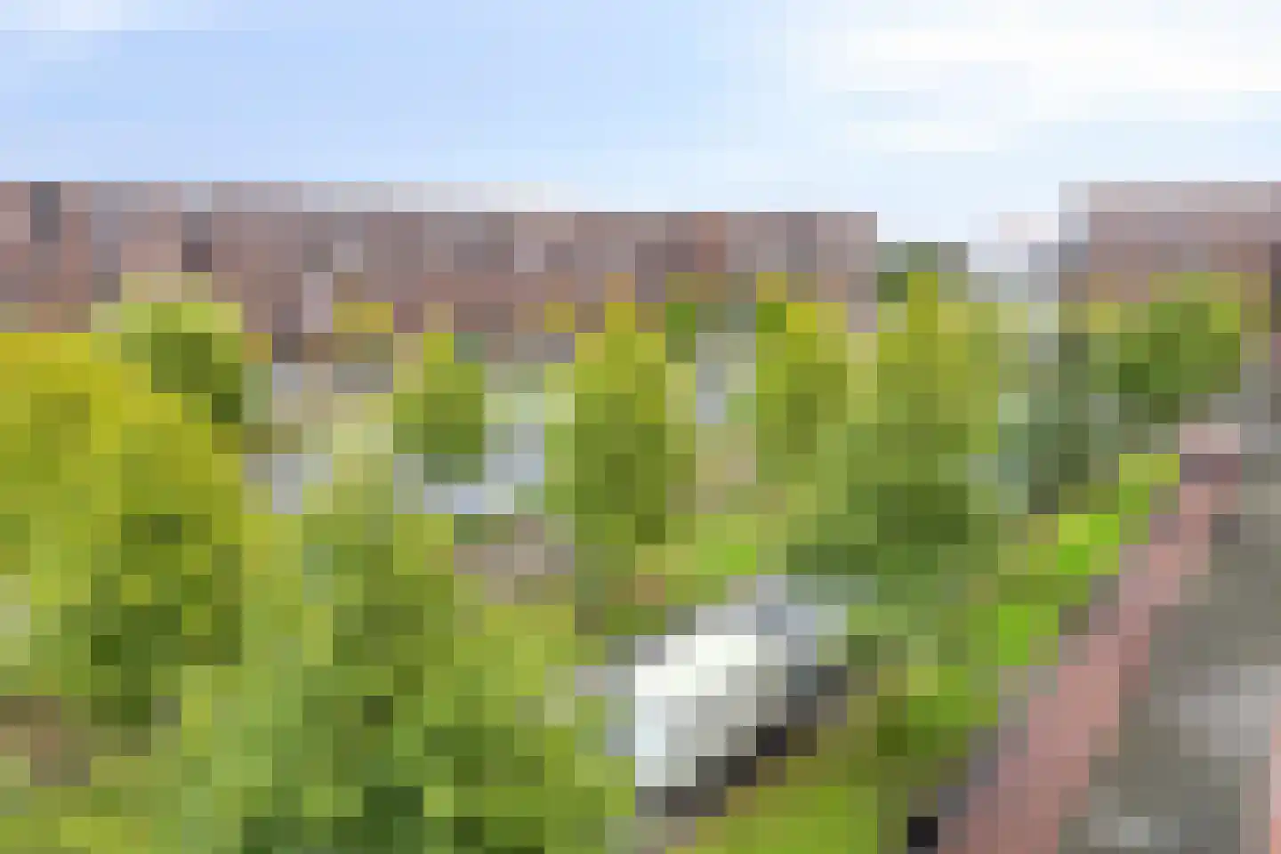 Laan van Wateringse Veld 779 Den Haag thumbnail 48