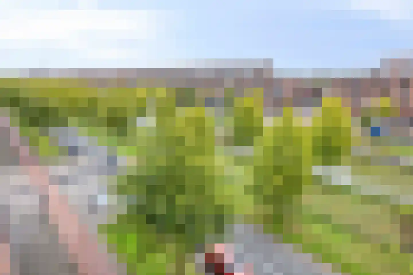 Laan van Wateringse Veld 779 Den Haag thumbnail 49