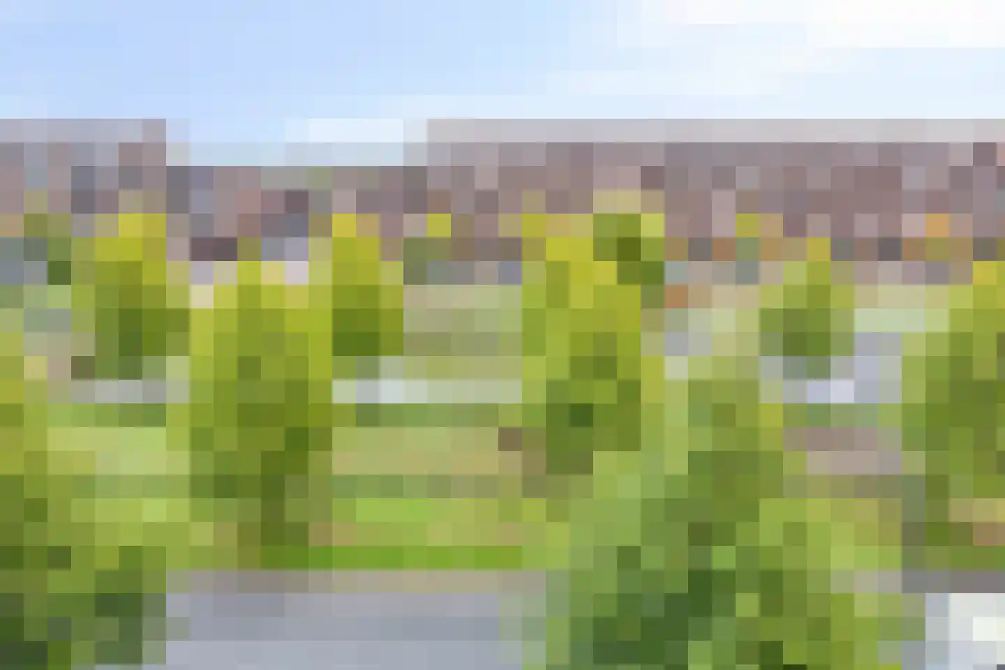 Laan van Wateringse Veld 779 Den Haag thumbnail 50