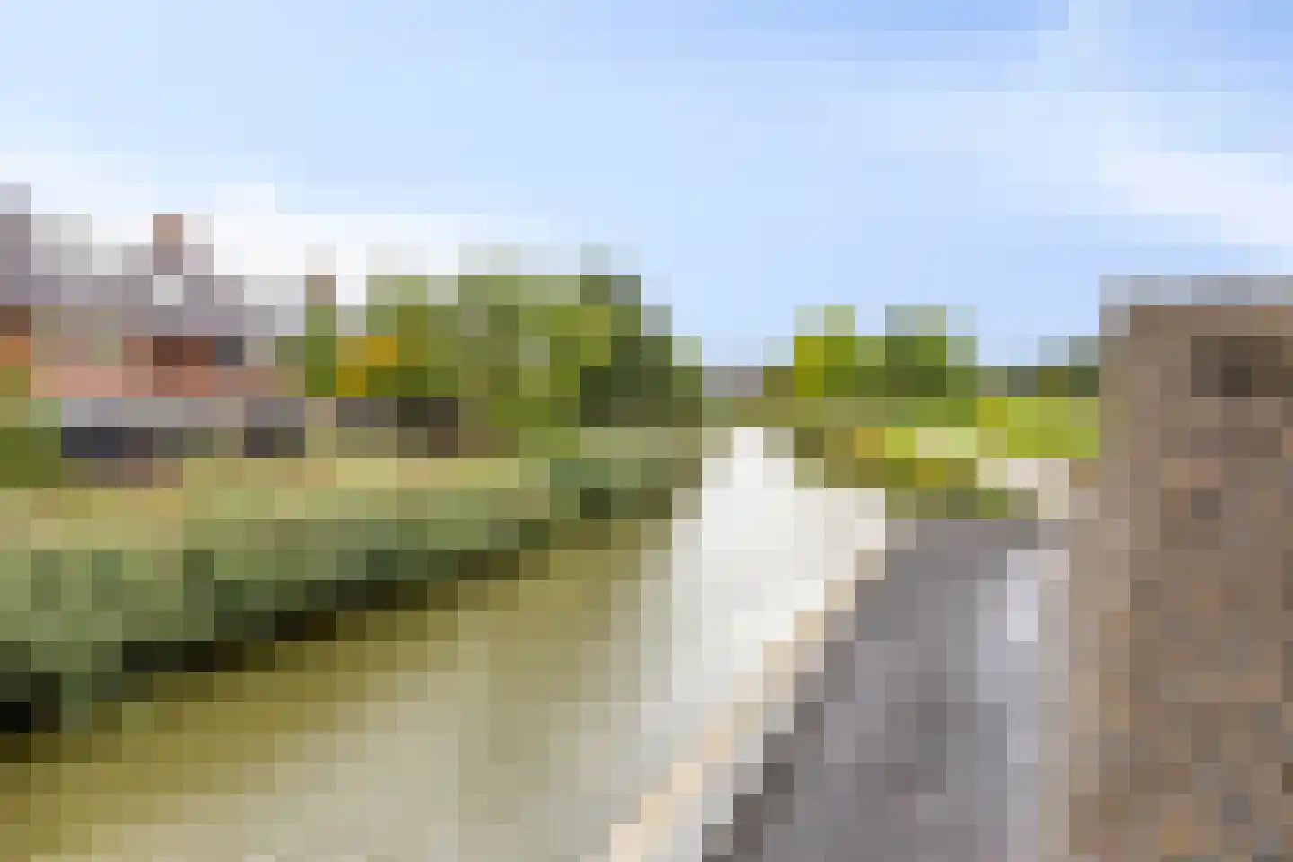 Laan van Wateringse Veld 779 Den Haag thumbnail 60