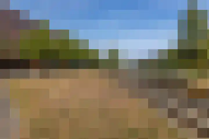 Laan van Wateringse Veld 805 Den Haag thumbnail 29