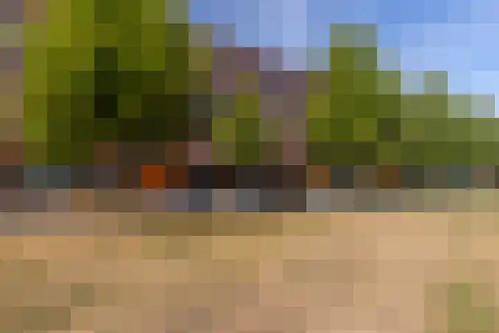 Laan van Wateringse Veld 805 Den Haag thumbnail 4