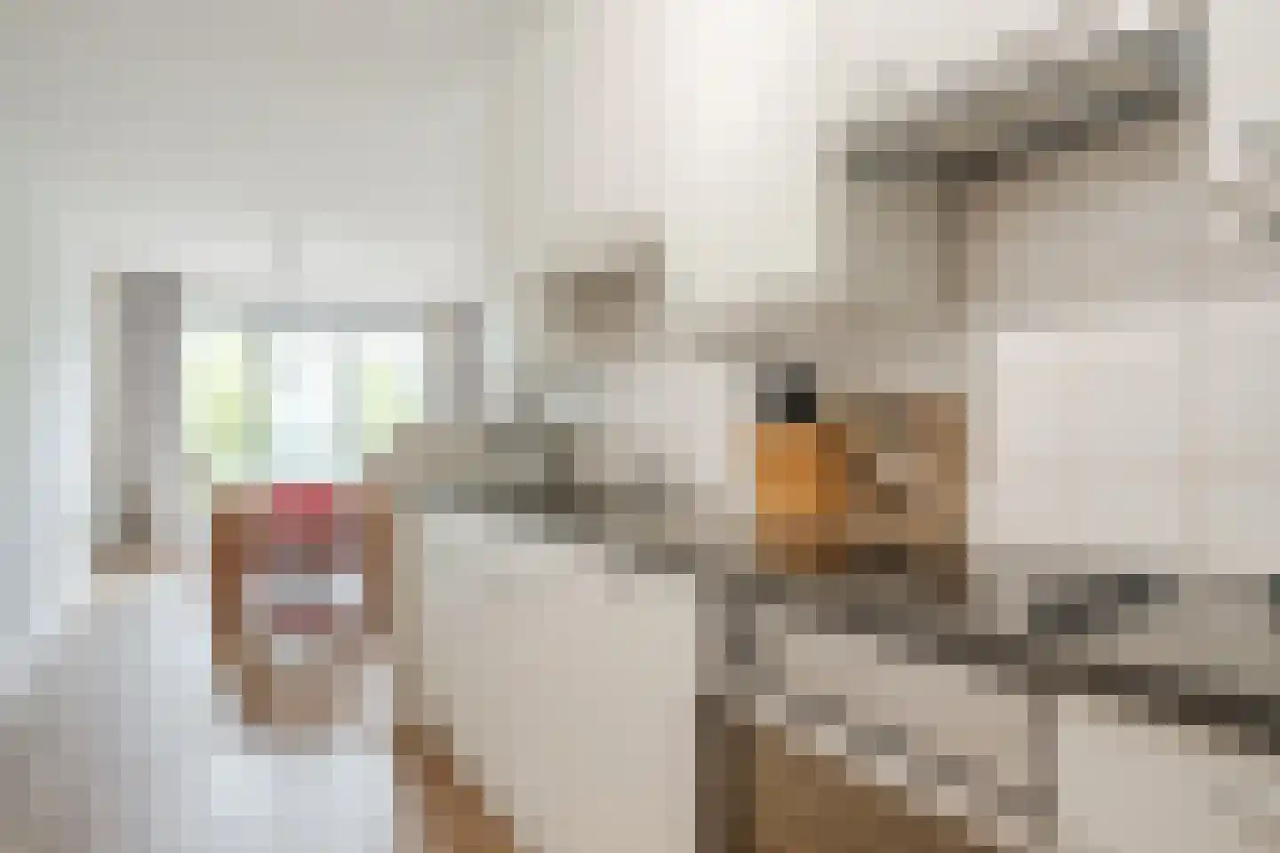 Laan van Wateringse Veld 82 Den Haag thumbnail 32