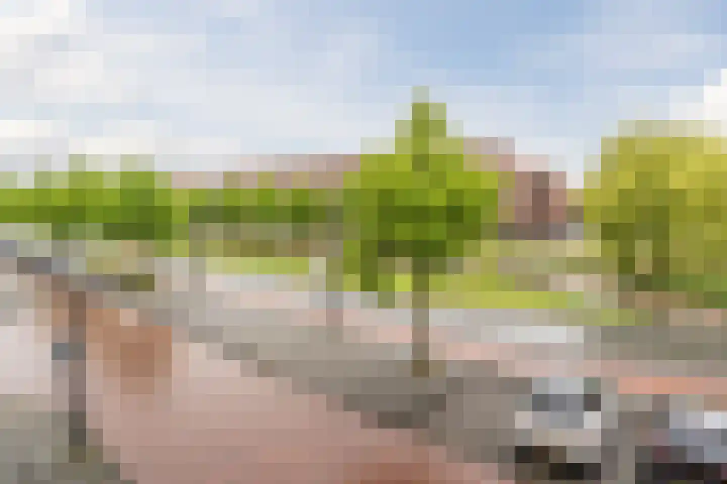 Laan van Wateringse Veld 82 Den Haag thumbnail 34
