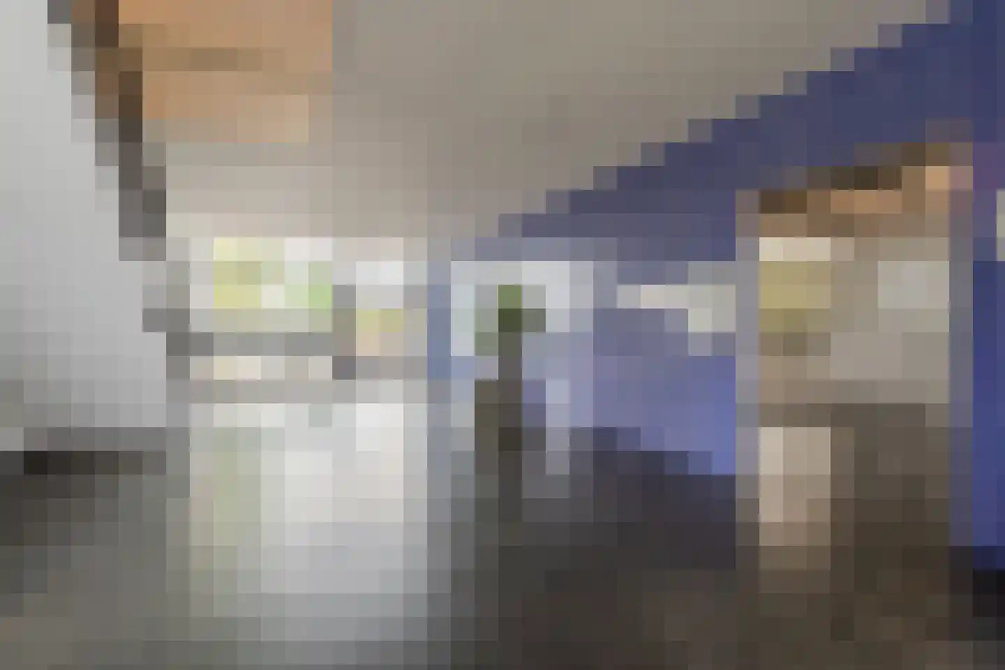 Laan van Wateringse Veld 82 Den Haag thumbnail 5
