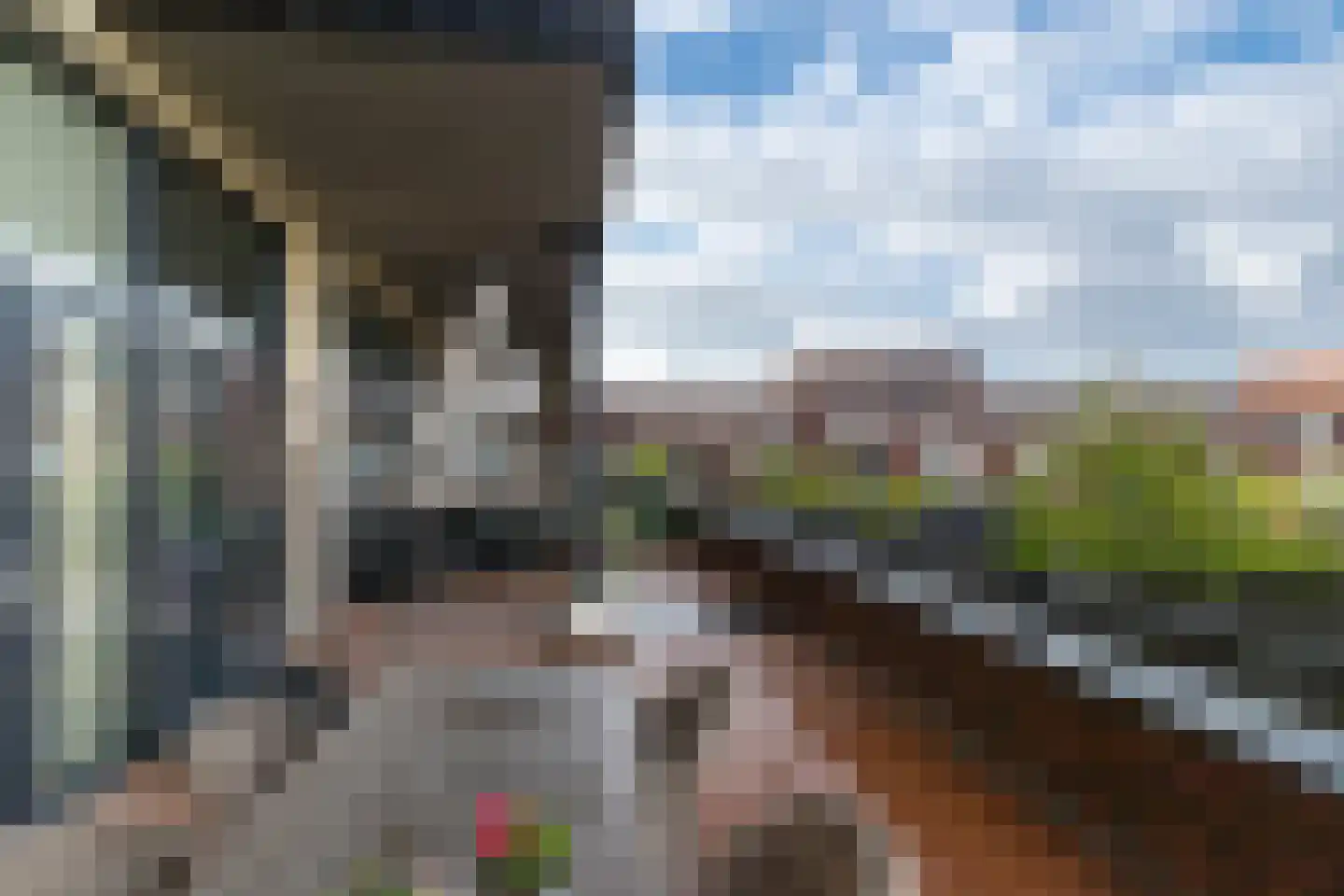 Laan van Wateringse Veld 827 Den Haag thumbnail 23