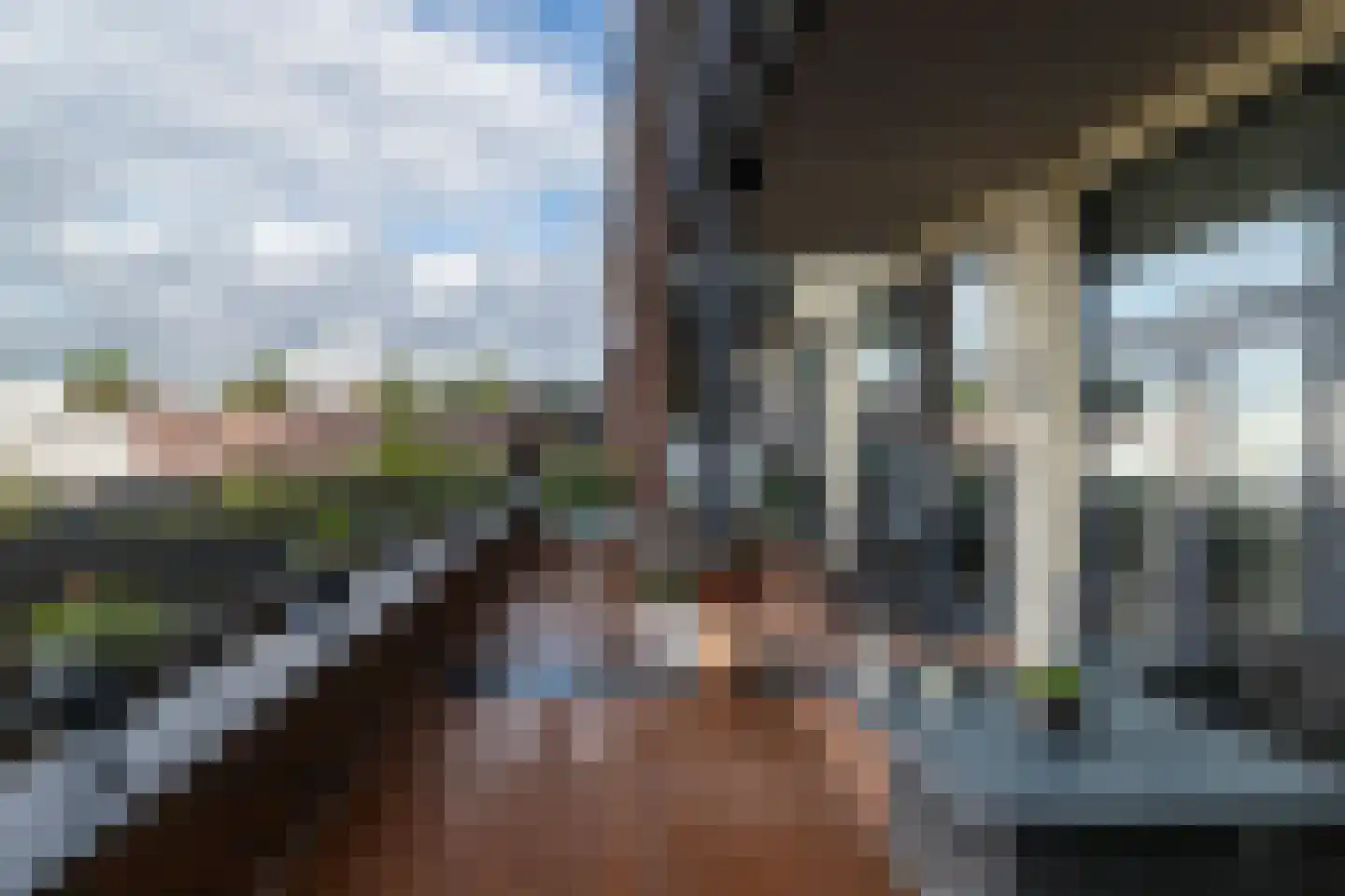 Laan van Wateringse Veld 827 Den Haag thumbnail 25