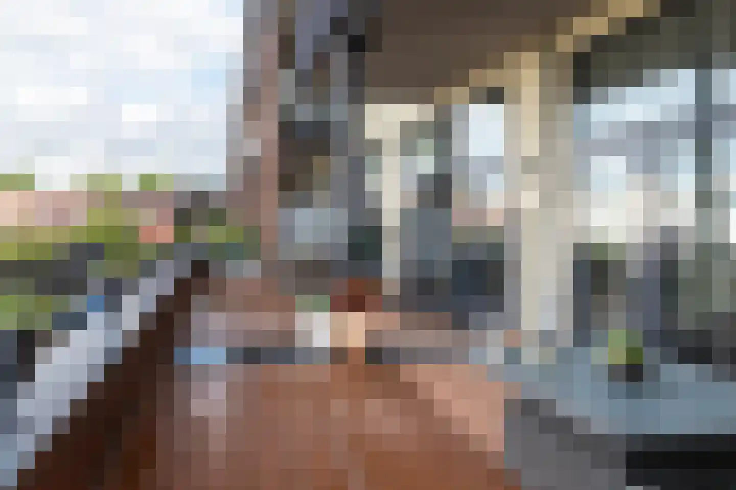 Laan van Wateringse Veld 827 Den Haag thumbnail 26