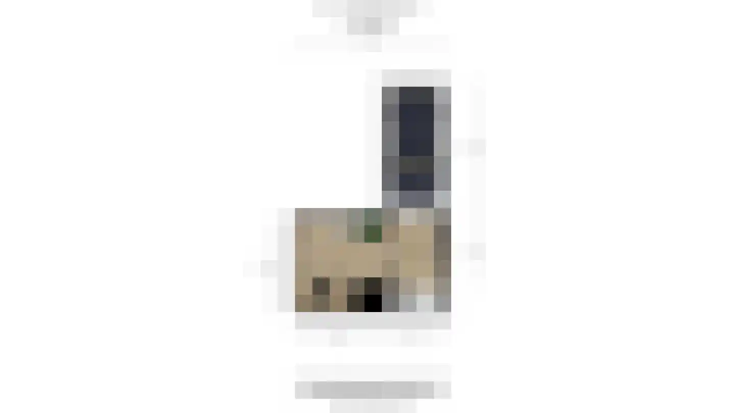 Laan van Wateringse Veld 827 Den Haag thumbnail 47