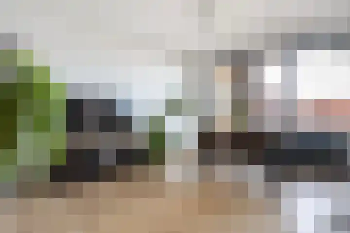Laan van Wateringse Veld 867 Den Haag thumbnail 10