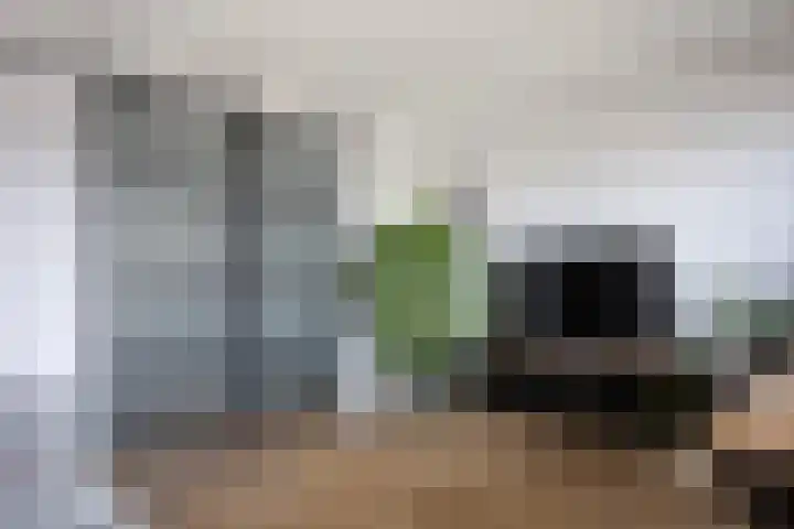 Laan van Wateringse Veld 867 Den Haag thumbnail 11