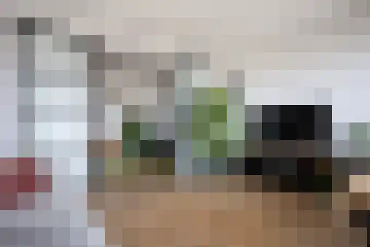 Laan van Wateringse Veld 867 Den Haag thumbnail 12