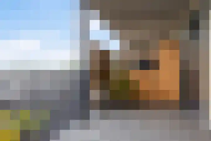 Laan van Wateringse Veld 867 Den Haag thumbnail 15