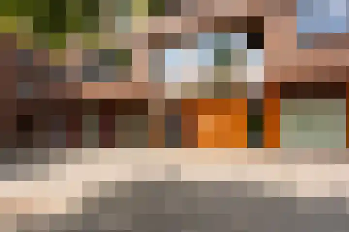 Laan van Wateringse Veld 867 Den Haag thumbnail 5