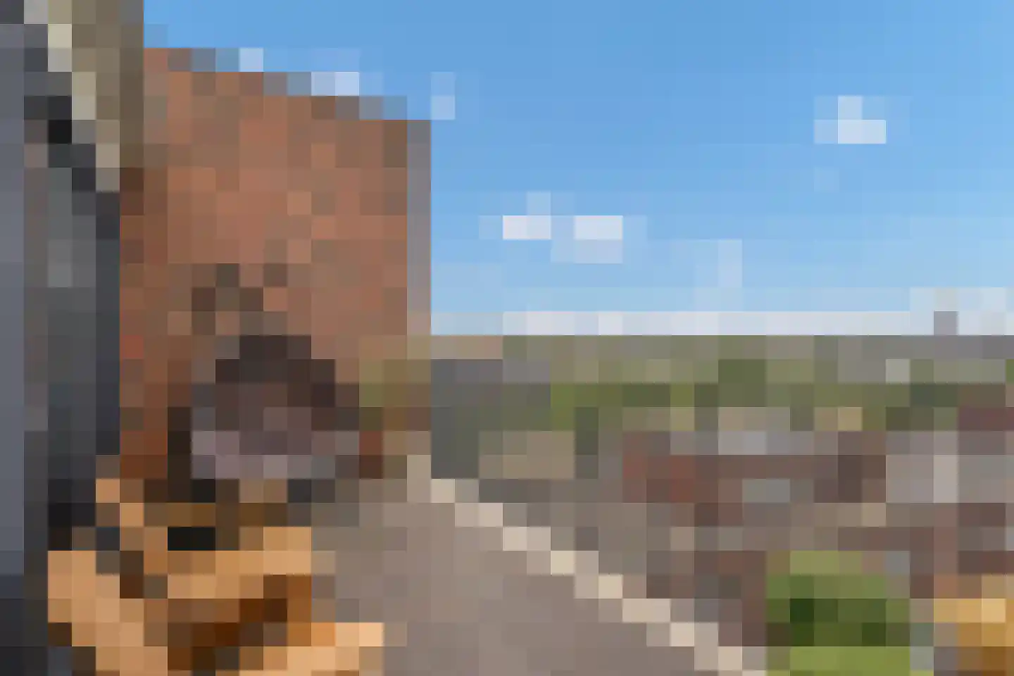 Laan van Wateringse Veld 887 Den Haag thumbnail 10