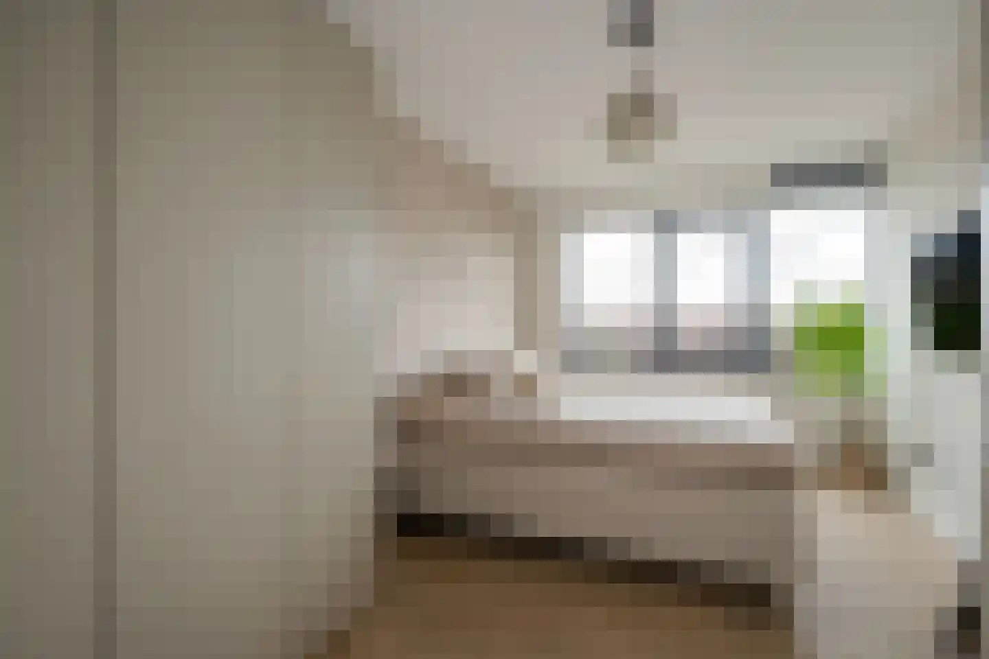 Laan van Wateringse Veld 887 Den Haag thumbnail 25