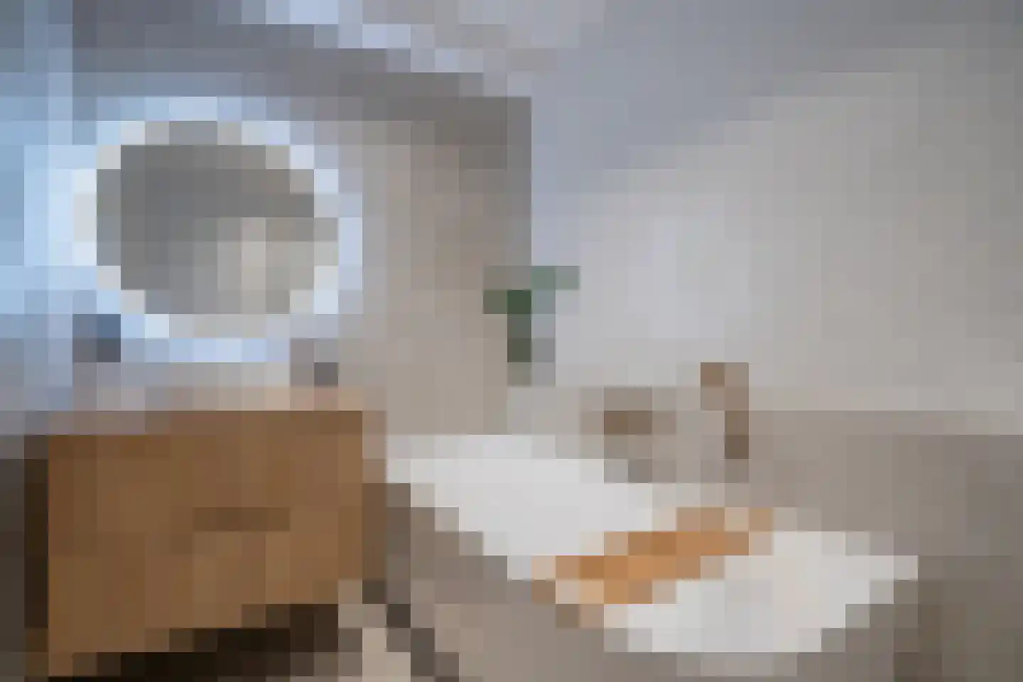 Laan van Wateringse Veld 887 Den Haag thumbnail 4
