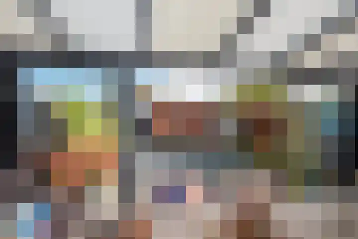 Laan van Wateringse Veld 934 Den Haag thumbnail 17