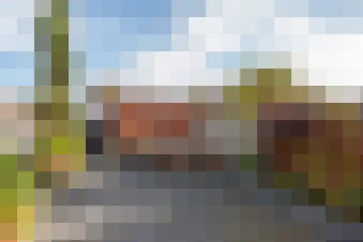 Laan van Wateringse Veld 934 Den Haag thumbnail 18