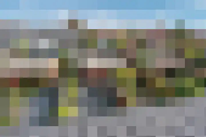 Laan van Wateringse Veld 934 Den Haag thumbnail 34