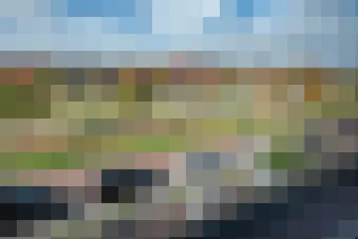 Laan van Wateringse Veld 934 Den Haag thumbnail 37