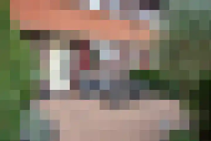 Laan van Wateringse Veld 934 Den Haag thumbnail 6