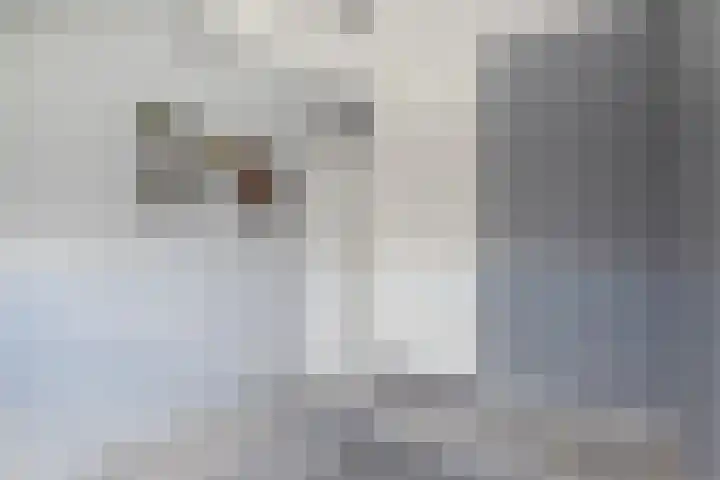 Laan van Welgelegen 157 Werkendam thumbnail 23