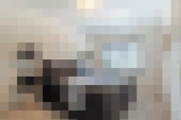 Laan van Welgelegen 157 Werkendam thumbnail 26