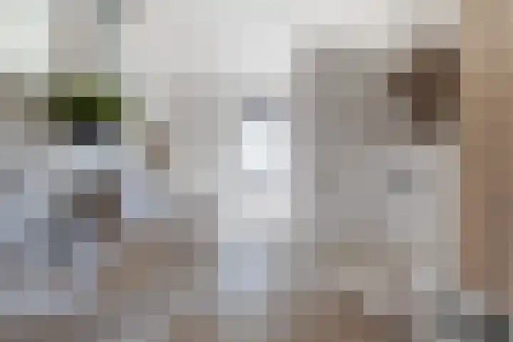 Laan van Welgelegen 157 Werkendam thumbnail 28
