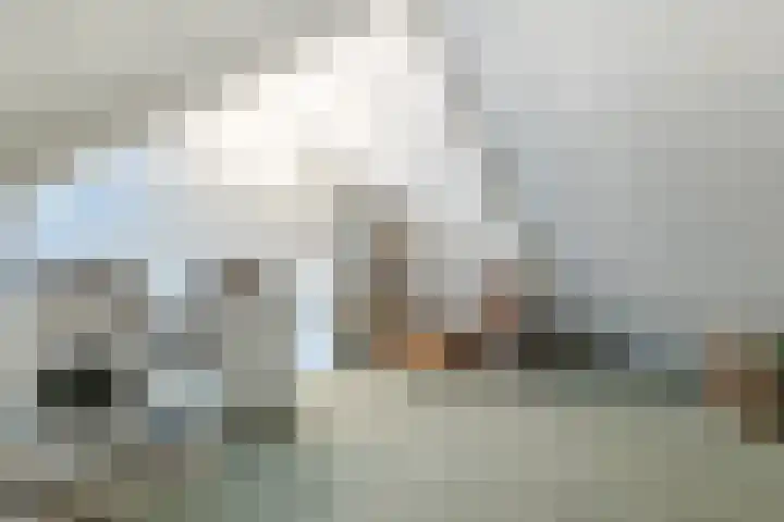 Laan van Welgelegen 157 Werkendam thumbnail 32
