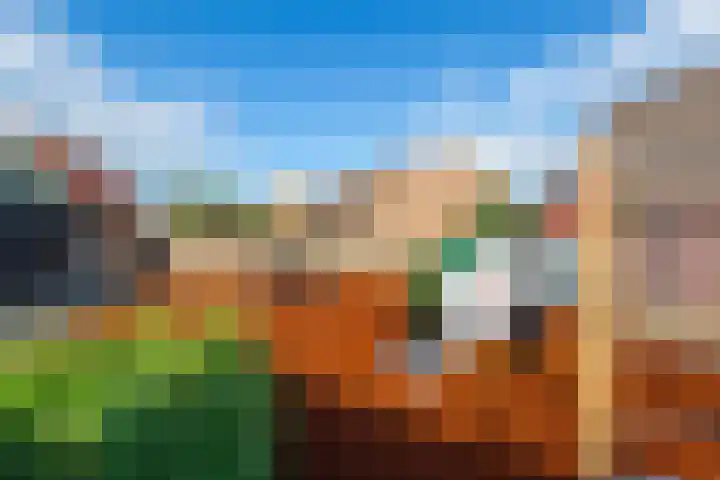 Laan van Welgelegen 157 Werkendam thumbnail 39