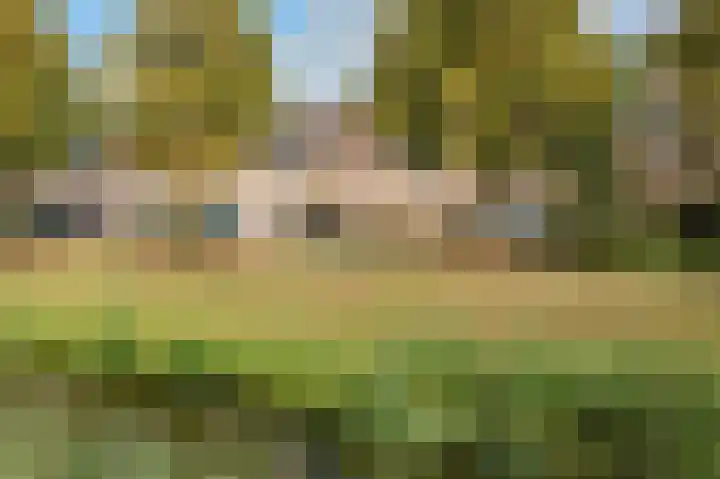 Laan van Welgelegen 157 Werkendam thumbnail 40