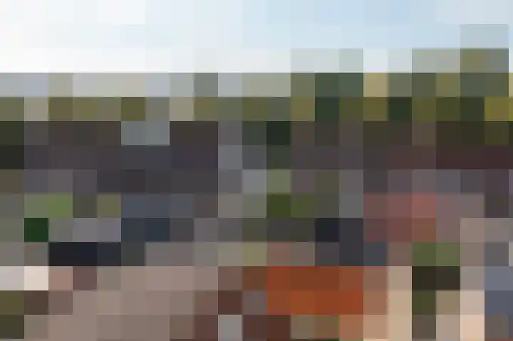 Laan van Welgelegen 157 Werkendam thumbnail 41