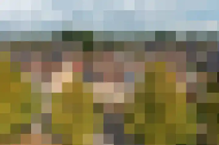 Laan van Welgelegen 157 Werkendam thumbnail 42