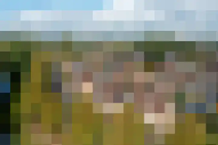 Laan van Welgelegen 157 Werkendam thumbnail 43